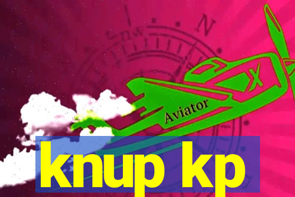 knup kp-t89 driver